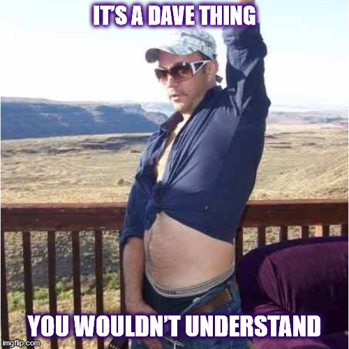 IT’S A DAVE THING.... | IT’S A DAVE THING; YOU WOULDN’T UNDERSTAND | image tagged in dave,dave matthews,dave matthews band,understand,its a dave thing,you wouldnt get it | made w/ Imgflip meme maker
