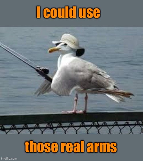 I could use those real arms | made w/ Imgflip meme maker