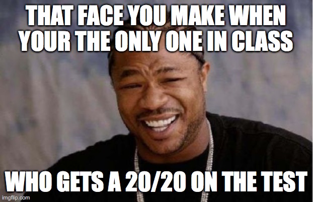 Yo Dawg Heard You Meme | THAT FACE YOU MAKE WHEN YOUR THE ONLY ONE IN CLASS; WHO GETS A 20/20 ON THE TEST | image tagged in memes,yo dawg heard you | made w/ Imgflip meme maker