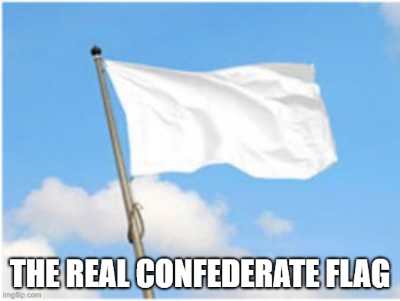 White flag | THE REAL CONFEDERATE FLAG | image tagged in white flag | made w/ Imgflip meme maker