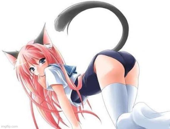 Cat girl | image tagged in cat girl | made w/ Imgflip meme maker