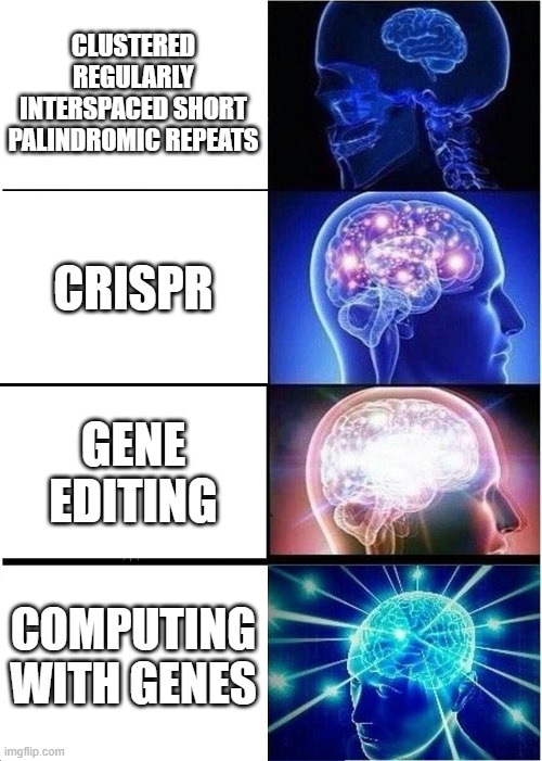 Expanding Brain Meme | CLUSTERED REGULARLY INTERSPACED SHORT PALINDROMIC REPEATS; CRISPR; GENE EDITING; COMPUTING WITH GENES | image tagged in memes,expanding brain | made w/ Imgflip meme maker