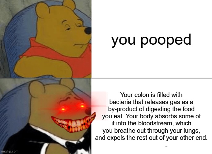 i spent a lot of time making this | you pooped; Your colon is filled with bacteria that releases gas as a by-product of digesting the food you eat. Your body absorbs some of it into the bloodstream, which you breathe out through your lungs, and expels the rest out of your other end. | image tagged in memes,tuxedo winnie the pooh | made w/ Imgflip meme maker