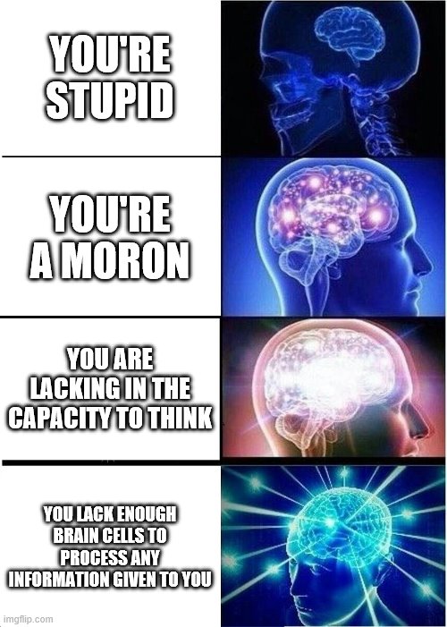 Expanding Brain | YOU'RE STUPID; YOU'RE A MORON; YOU ARE LACKING IN THE CAPACITY TO THINK; YOU LACK ENOUGH BRAIN CELLS TO PROCESS ANY INFORMATION GIVEN TO YOU | image tagged in memes,expanding brain | made w/ Imgflip meme maker