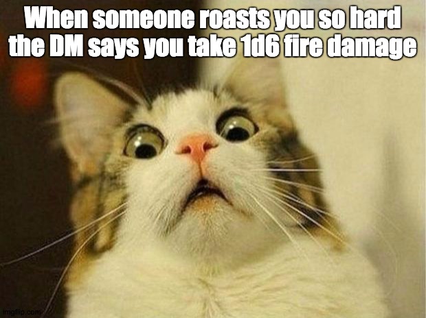 Get Burned! | When someone roasts you so hard the DM says you take 1d6 fire damage | image tagged in memes,scared cat | made w/ Imgflip meme maker