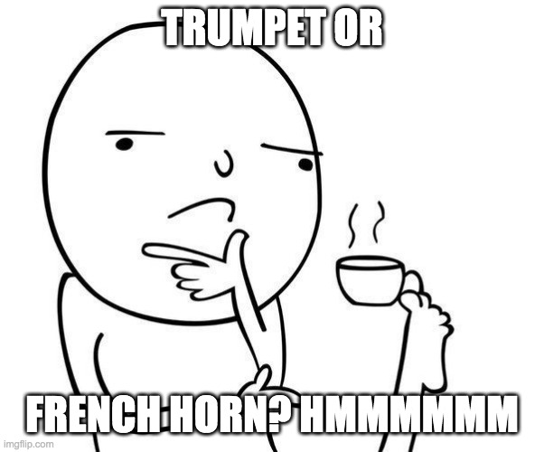 idk | TRUMPET OR; FRENCH HORN? HMMMMMM | image tagged in hmmm | made w/ Imgflip meme maker