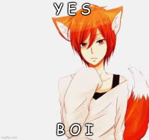 y e s | Y E S; B O I | image tagged in fox boy | made w/ Imgflip meme maker