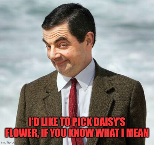 mr bean | I’D LIKE TO PICK DAISY’S FLOWER, IF YOU KNOW WHAT I MEAN | image tagged in mr bean | made w/ Imgflip meme maker