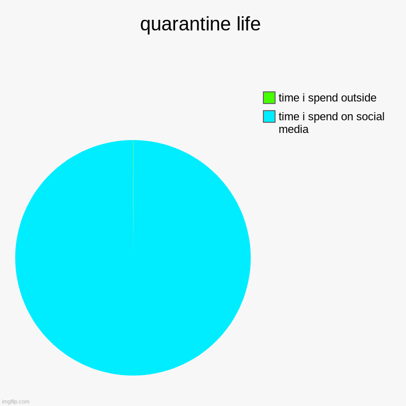 quarantine life | quarantine life | time i spend on social media, time i spend outside | image tagged in charts,pie charts | made w/ Imgflip chart maker