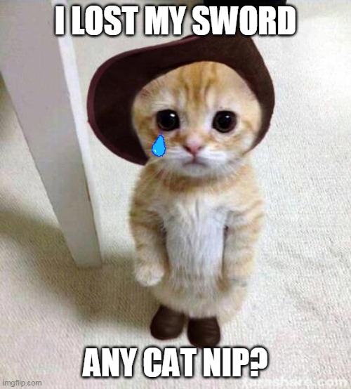 Little Puss in Boots | I LOST MY SWORD; ANY CAT NIP? | image tagged in cute cat,puss in boots | made w/ Imgflip meme maker