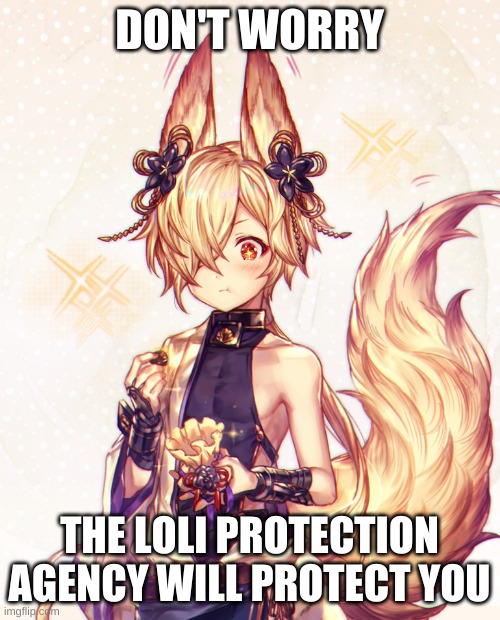 fox boy | DON'T WORRY THE LOLI PROTECTION AGENCY WILL PROTECT YOU | image tagged in fox boy | made w/ Imgflip meme maker