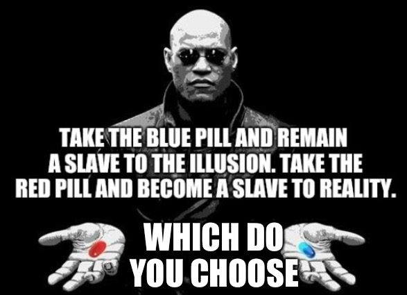 WHICH DO YOU CHOOSE | image tagged in matrix,memes,red pill blue pill | made w/ Imgflip meme maker