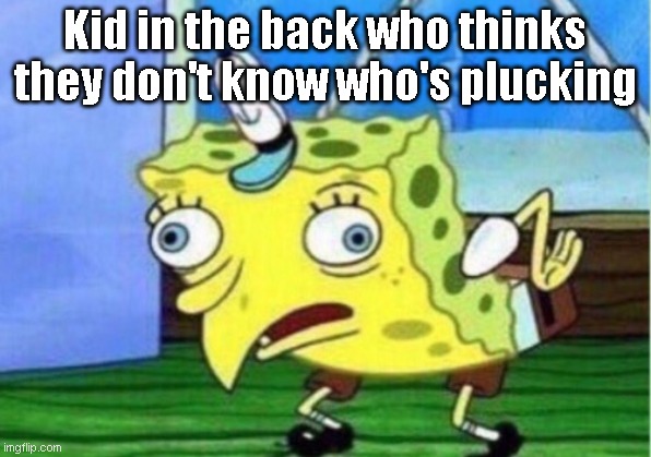 Mocking Spongebob Meme | Kid in the back who thinks they don't know who's plucking | image tagged in memes,mocking spongebob | made w/ Imgflip meme maker