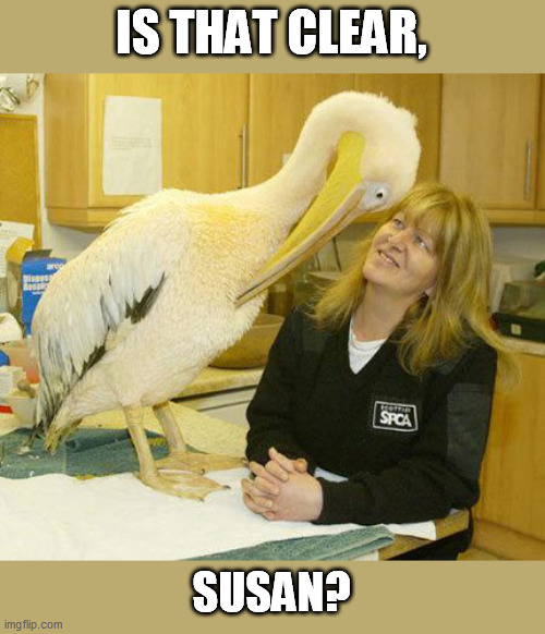 IS THAT CLEAR, SUSAN? | made w/ Imgflip meme maker
