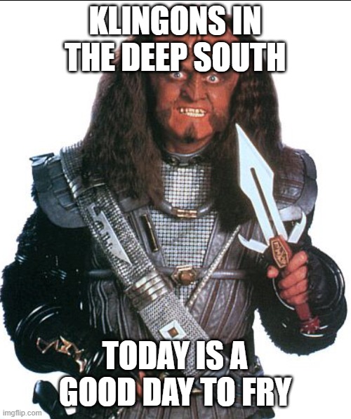 good day to fry | KLINGONS IN THE DEEP SOUTH; TODAY IS A GOOD DAY TO FRY | image tagged in klingon warrior | made w/ Imgflip meme maker
