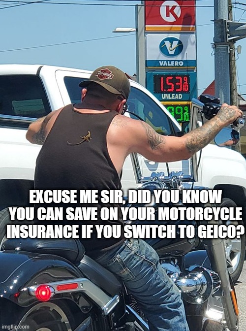 That's One Determined Lizard | EXCUSE ME SIR, DID YOU KNOW YOU CAN SAVE ON YOUR MOTORCYCLE INSURANCE IF YOU SWITCH TO GEICO? | image tagged in geico | made w/ Imgflip meme maker