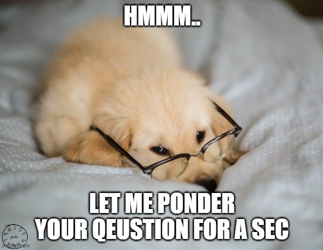 smart puppy | HMMM.. LET ME PONDER YOUR QEUSTION FOR A SEC | image tagged in cute puppy | made w/ Imgflip meme maker