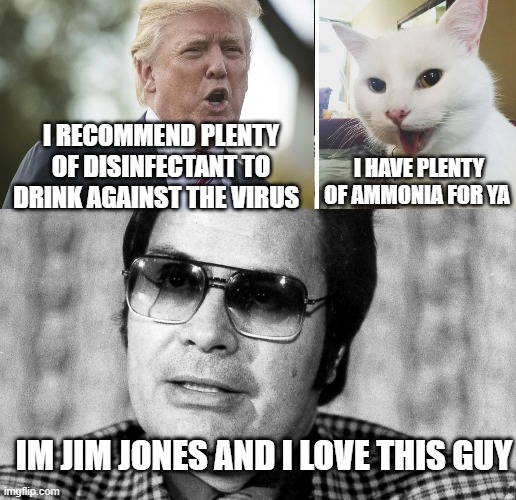 Conservatives love kool-aid | I RECOMMEND PLENTY OF DISINFECTANT TO DRINK AGAINST THE VIRUS; I HAVE PLENTY OF AMMONIA FOR YA; IM JIM JONES AND I LOVE THIS GUY | image tagged in conservatives,conservative logic,donald trump,liberals | made w/ Imgflip meme maker