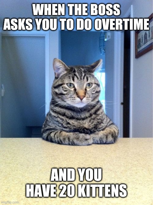 Take A Seat Cat | WHEN THE BOSS ASKS YOU TO DO OVERTIME; AND YOU HAVE 20 KITTENS | image tagged in memes,take a seat cat | made w/ Imgflip meme maker