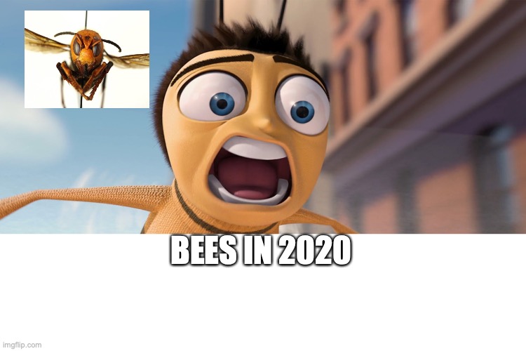 bees in 2020 | BEES IN 2020 | image tagged in bee movie | made w/ Imgflip meme maker