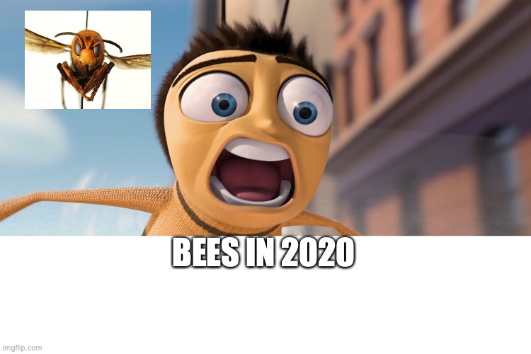 Bee Movie - Imgflip