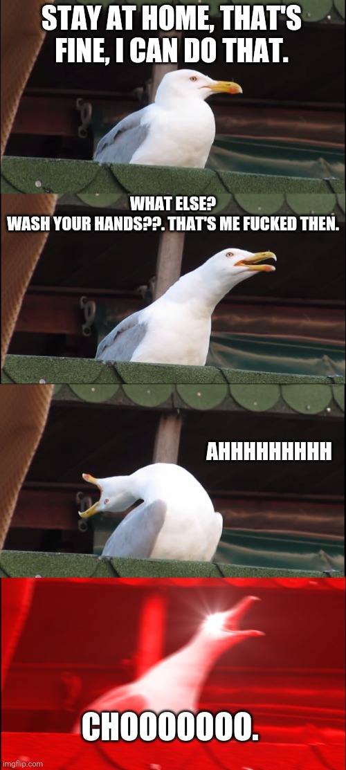 Inhaling Seagull Meme | STAY AT HOME, THAT'S FINE, I CAN DO THAT. WHAT ELSE?
WASH YOUR HANDS??. THAT'S ME FUCKED THEN. AHHHHHHHHH; CHOOOOOOO. | image tagged in memes,inhaling seagull | made w/ Imgflip meme maker