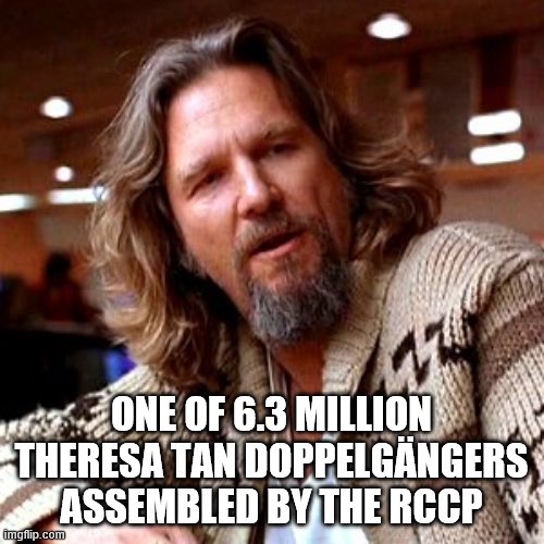 Confused Lebowski Meme | ONE OF 6.3 MILLION THERESA TAN DOPPELGÄNGERS ASSEMBLED BY THE RCCP | image tagged in memes,confused lebowski | made w/ Imgflip meme maker
