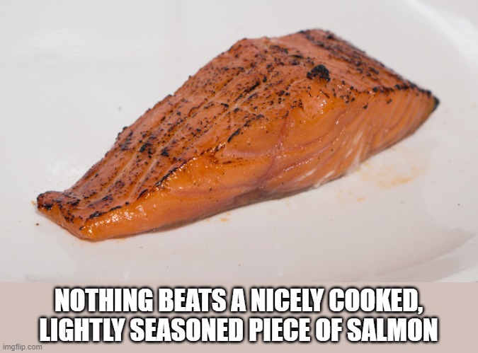 Mmm Fish | NOTHING BEATS A NICELY COOKED, LIGHTLY SEASONED PIECE OF SALMON | image tagged in salmon | made w/ Imgflip meme maker