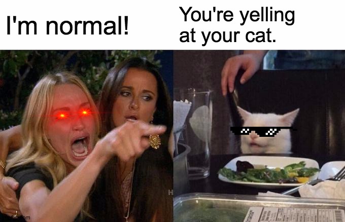Memeified Meme | I'm normal! You're yelling at your cat. | image tagged in memes,woman yelling at cat | made w/ Imgflip meme maker