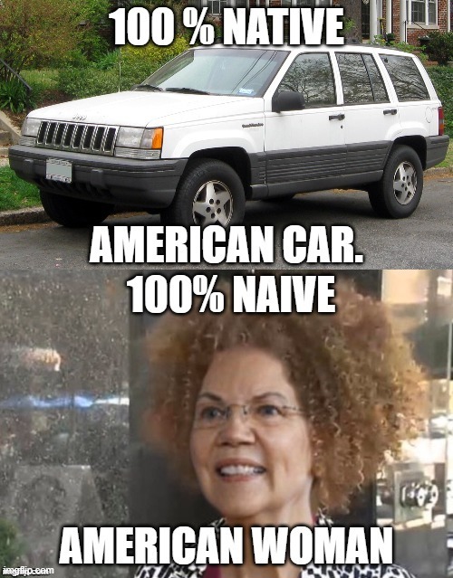 What does the Jeep Cherokee and Elizabeth Warren have in common? Both contain 1024th Cherokee but one still a native American. | image tagged in elizabeth warrren,both 1024th cherokee but only one is a native american,1024th cherokee | made w/ Imgflip meme maker