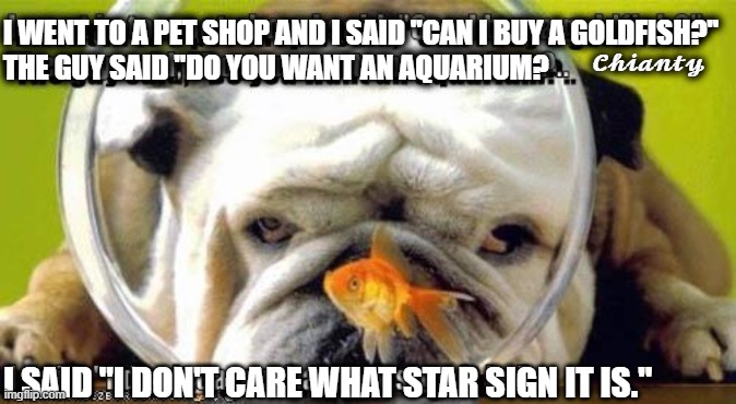 Pet Shop | 𝓒𝓱𝓲𝓪𝓷𝓽𝔂; I WENT TO A PET SHOP AND I SAID "CAN I BUY A GOLDFISH?"
THE GUY SAID "DO YOU WANT AN AQUARIUM? I SAID "I DON'T CARE WHAT STAR SIGN IT IS." | image tagged in aquarium | made w/ Imgflip meme maker