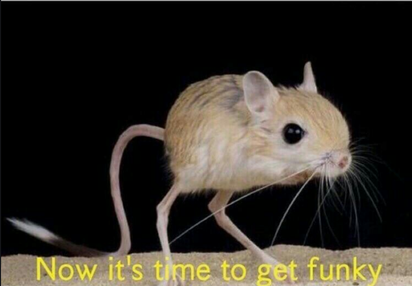 Funky mouse thing Blank Meme Template