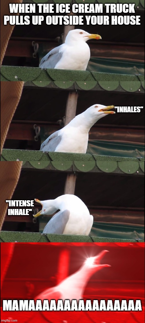 Inhaling Seagull Meme | WHEN THE ICE CREAM TRUCK PULLS UP OUTSIDE YOUR HOUSE; "INHALES"; "INTENSE INHALE"; MAMAAAAAAAAAAAAAAAA | image tagged in memes,inhaling seagull | made w/ Imgflip meme maker