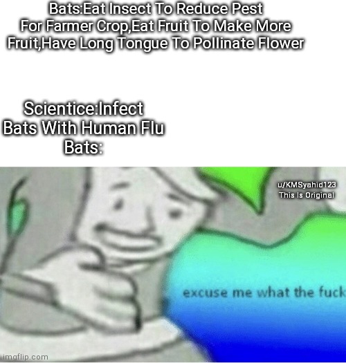 Excuse me wtf blank template | Bats:Eat Insect To Reduce Pest For Farmer Crop,Eat Fruit To Make More Fruit,Have Long Tongue To Pollinate Flower; Scientice:Infect Bats With Human Flu
Bats:; u/KMSyahid123
This Is Original | image tagged in excuse me wtf blank template | made w/ Imgflip meme maker