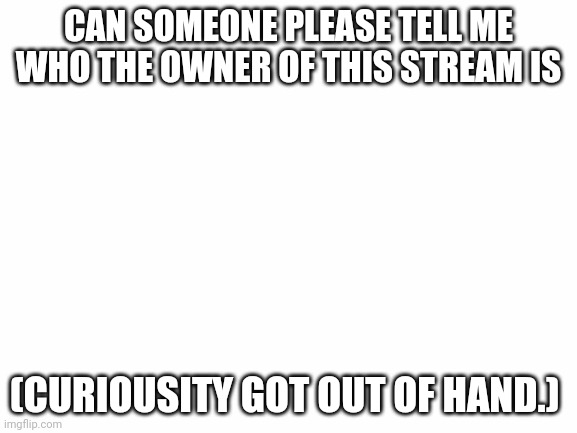 White Screen | CAN SOMEONE PLEASE TELL ME WHO THE OWNER OF THIS STREAM IS; (CURIOUSITY GOT OUT OF HAND.) | image tagged in white screen | made w/ Imgflip meme maker