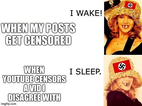 Kylie I wake/I sleep accurate | WHEN MY POSTS GET CENSORED WHEN YOUTUBE CENSORS A VID I DISAGREE WITH | image tagged in kylie i wake/i sleep accurate | made w/ Imgflip meme maker