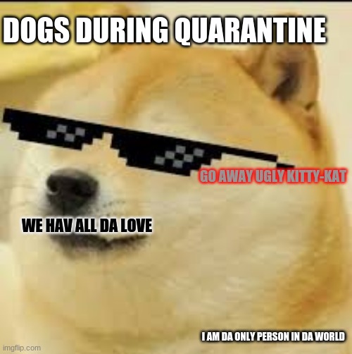 Not a cat meme | DOGS DURING QUARANTINE; GO AWAY UGLY KITTY-KAT; WE HAV ALL DA LOVE; I AM DA ONLY PERSON IN DA WORLD | image tagged in doge,quarantine,cats | made w/ Imgflip meme maker