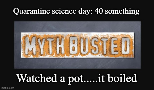Quarantine science day: 40 something; Watched a pot.....it boiled | image tagged in quarantine,bored | made w/ Imgflip meme maker