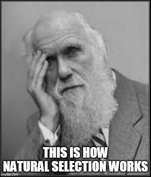 darwin facepalm | THIS IS HOW NATURAL SELECTION WORKS | image tagged in darwin facepalm | made w/ Imgflip meme maker
