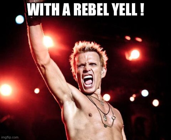 billy idol | WITH A REBEL YELL ! | image tagged in billy idol | made w/ Imgflip meme maker