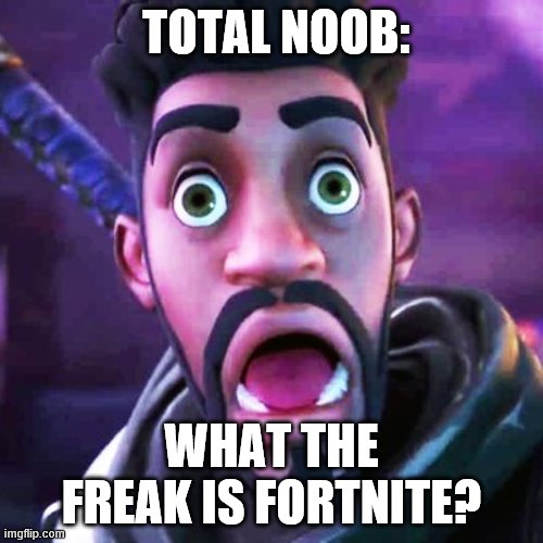 Not a noob, A total noob | TOTAL NOOB:; WHAT THE FREAK IS FORTNITE? | image tagged in funny | made w/ Imgflip meme maker