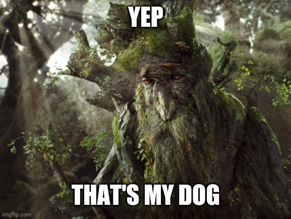 Treebeard | YEP THAT'S MY DOG | image tagged in treebeard | made w/ Imgflip meme maker