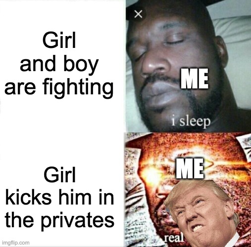 Sleeping Shaq Meme | Girl and boy are fighting; ME; ME; Girl kicks him in the privates | image tagged in memes,sleeping shaq | made w/ Imgflip meme maker