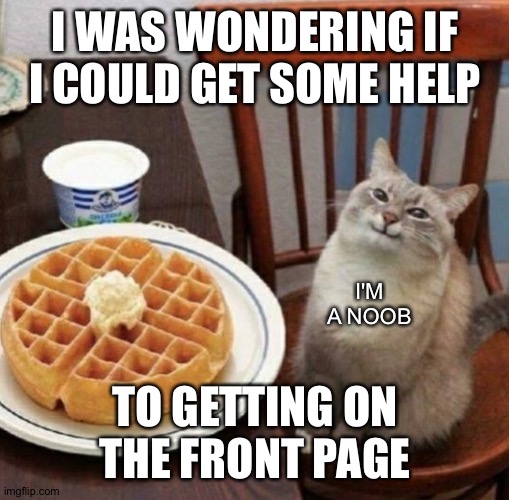 Cat likes their waffle | I WAS WONDERING IF I COULD GET SOME HELP TO GETTING ON THE FRONT PAGE I'M A NOOB | image tagged in cat likes their waffle | made w/ Imgflip meme maker