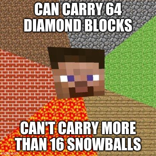 but why? | CAN CARRY 64 DIAMOND BLOCKS; CAN'T CARRY MORE THAN 16 SNOWBALLS | image tagged in minecraft steve,memes,minecraft | made w/ Imgflip meme maker