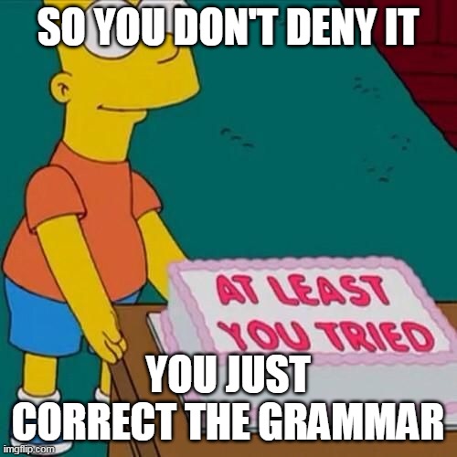 At least you tried | SO YOU DON'T DENY IT YOU JUST CORRECT THE GRAMMAR | image tagged in at least you tried | made w/ Imgflip meme maker