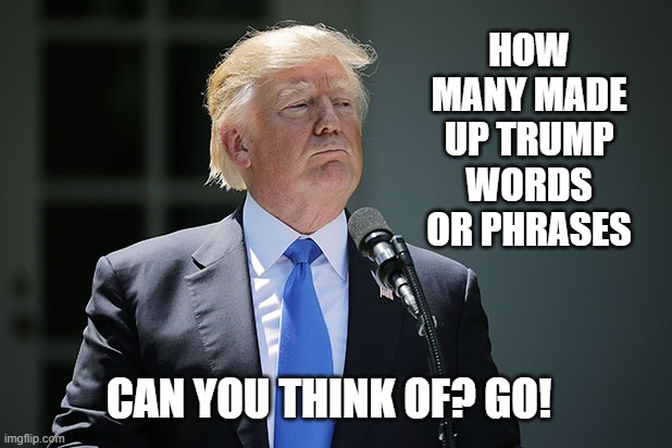 Trump, is labeling America! Made up Trump words. | HOW MANY MADE UP TRUMP WORDS OR PHRASES; CAN YOU THINK OF? GO! | image tagged in trump words  phrases | made w/ Imgflip meme maker