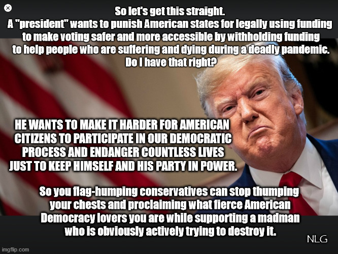 trump hates democracy. | So let's get this straight.
A "president" wants to punish American states for legally using funding
 to make voting safer and more accessible by withholding funding
 to help people who are suffering and dying during a deadly pandemic.
 Do I have that right? HE WANTS TO MAKE IT HARDER FOR AMERICAN
 CITIZENS TO PARTICIPATE IN OUR DEMOCRATIC
 PROCESS AND ENDANGER COUNTLESS LIVES
 JUST TO KEEP HIMSELF AND HIS PARTY IN POWER. So you flag-humping conservatives can stop thumping
 your chests and proclaiming what fierce American
 Democracy lovers you are while supporting a madman
 who is obviously actively trying to destroy it. NLG | image tagged in politics,political meme,political | made w/ Imgflip meme maker