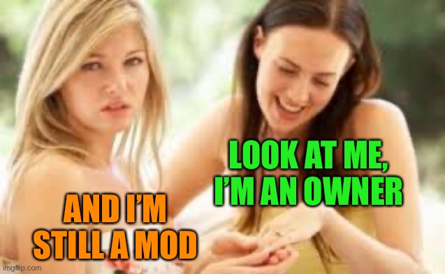 Always the moderator, never the owner | LOOK AT ME, I’M AN OWNER; AND I’M STILL A MOD | image tagged in mod,owner,wedding ring | made w/ Imgflip meme maker