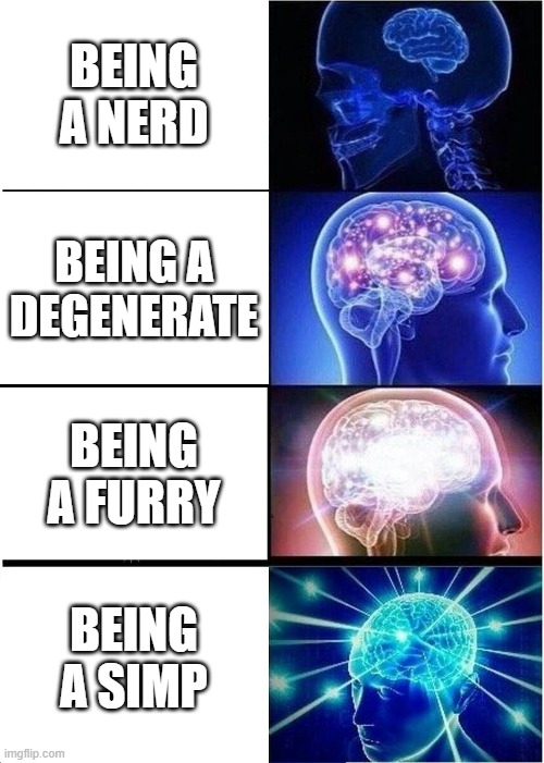 oof | BEING A NERD; BEING A DEGENERATE; BEING A FURRY; BEING A SIMP | image tagged in memes,expanding brain | made w/ Imgflip meme maker